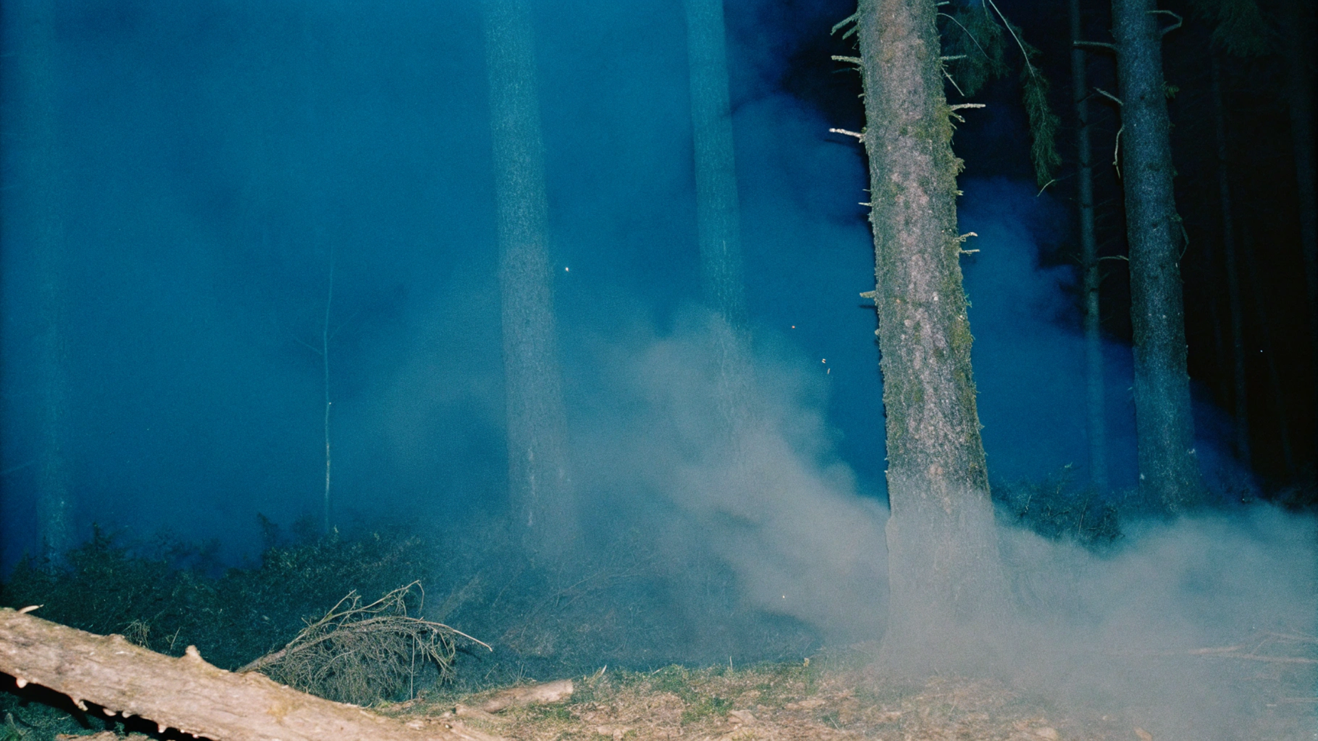 AI Visuals for Clams Casino’s Live Set: A Step-by-Step Guide